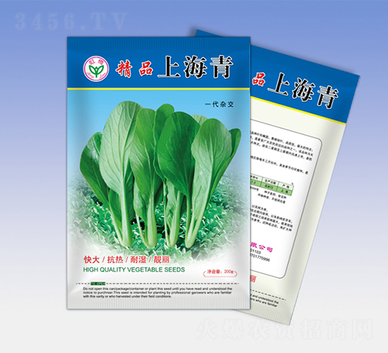 精品上海青-青梗菜種子-天龍種業(yè)