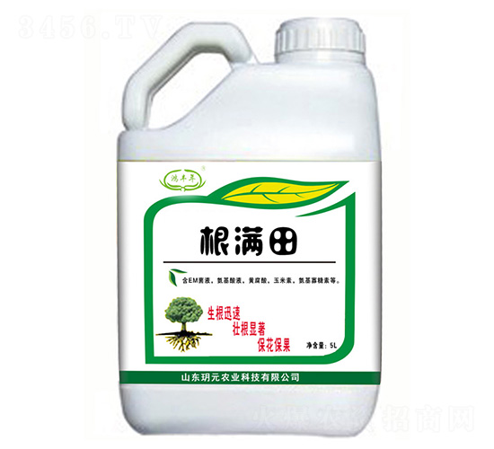 根滿(mǎn)田-鴻豐年-玥元農(nóng)業(yè)
