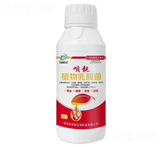æ¤ç‰©ä¹³é…¸èŒ-å”„éš-æ±æœ›æºç”Ÿç‰©