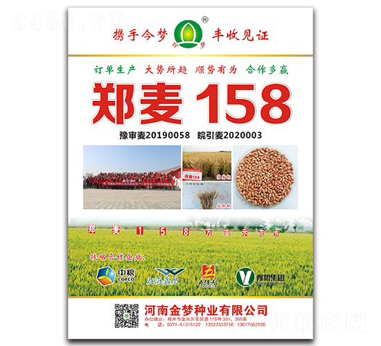é„­éº¥158-å°éº¥ç¨®å­-é‡‘å¤¢ç¨®æ¥­(yÃ¨)