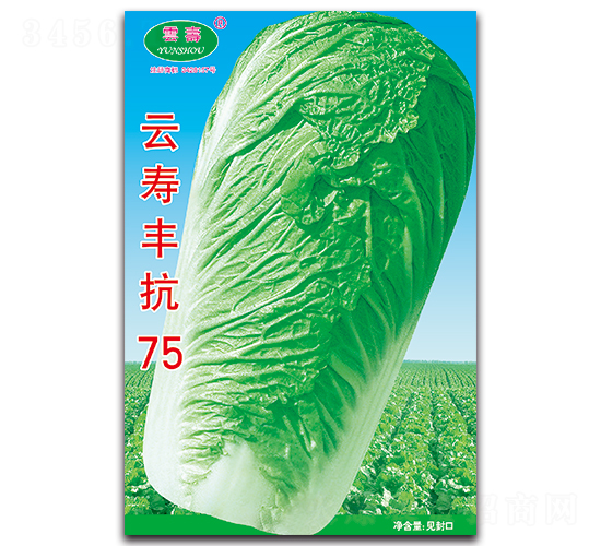 äº‘å£½è±æŠ—75-ç™½èœç¨®å­-äº‘å£½