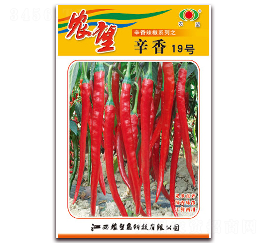 辛香19號(hào)-線椒種子-農(nóng)望