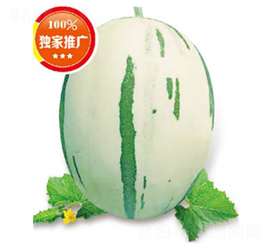 ç¶ å¸¶(M15)-ç”œç“œç¨®å­-é«˜ç«¯ç¨®æ¥­(yÃ¨)