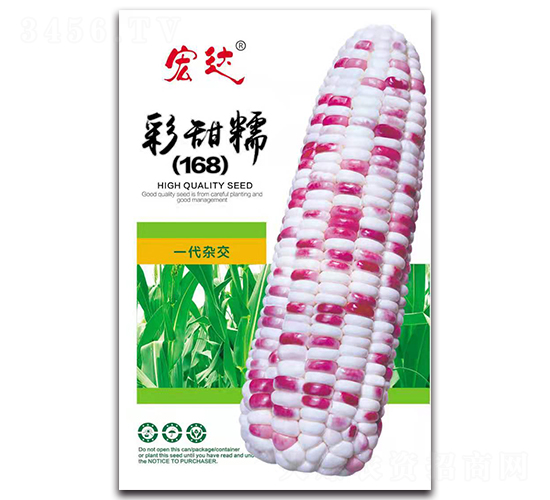 彩甜糯168-玉米種子-宏達(dá)