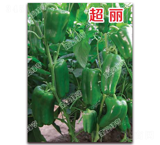 è¶…éº—-ç”œæ¤’ç¨®å­-å—æ¾³ç¶ äº¨