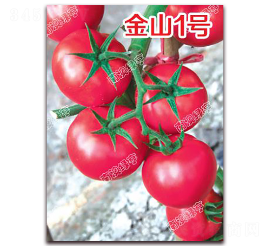 金山1號-粉果番茄種子-南澳綠亨