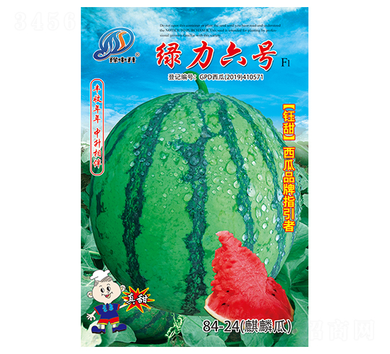 ç¶ åŠ›å…­è™Ÿ-è¥¿ç“œç¨®å­-ä¸­å‡è¾²(nÃ³ng)æ¥­(yÃ¨)