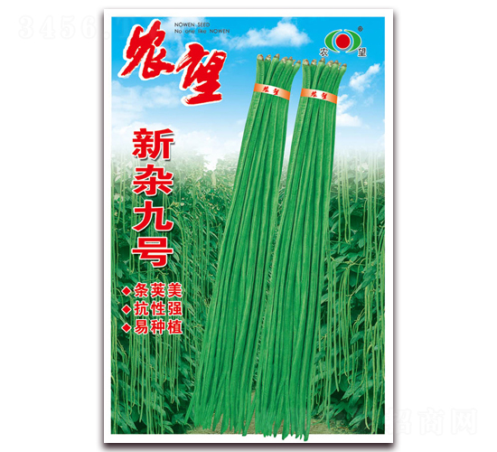 新雜九號(hào)-豇豆種子-農(nóng)望