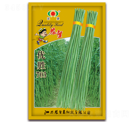 優(yōu)勝703-豇豆種子-農望