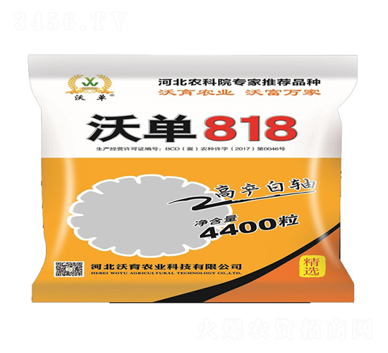 æ²ƒå–®818-çŽ‰ç±³ç¨®å­-æ²ƒè‚²è¾²(nÃ³ng)æ¥­(yÃ¨)