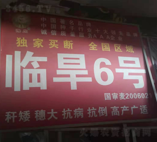 è‡¨æ—±6è™Ÿ(hÃ o)-å°éº¥ç¨®å­-åœ‹(guÃ³)ç§‘è¾²(nÃ³ng)æ¥­(yÃ¨)