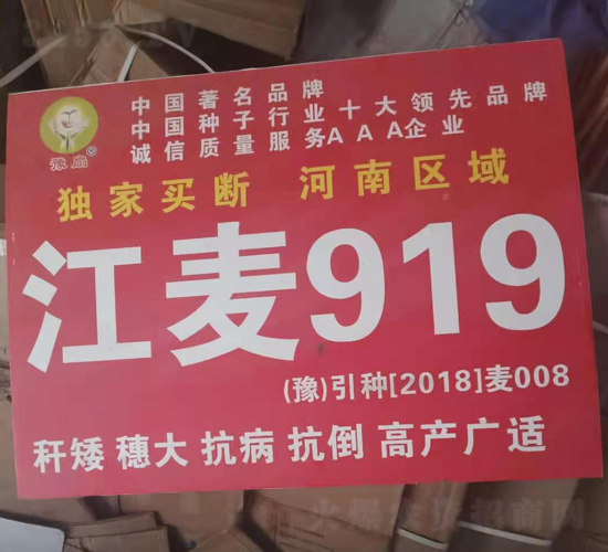 江麥919-小麥種子-國科農業(yè)