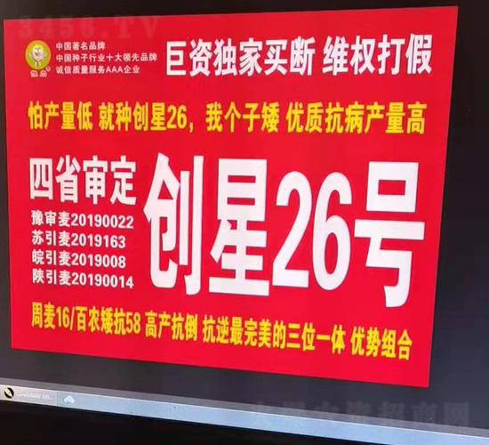 創(chuàng)星26號(hào)-小麥種子-國科農(nóng)業(yè)