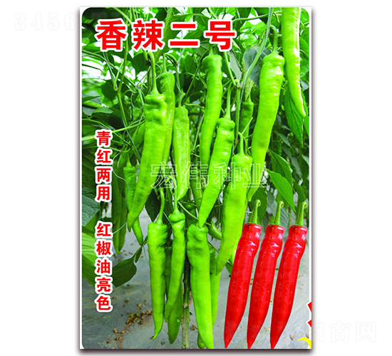 香辣二號-辣椒種子-宏偉種業(yè)