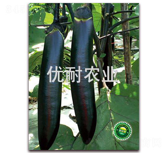 å„ª(yÅu)è€å¢¨èŒ„1016-èŒ„å­ç¨®å­-å„ª(yÅu)è€è¾²(nÃ³ng)æ¥­(yÃ¨)