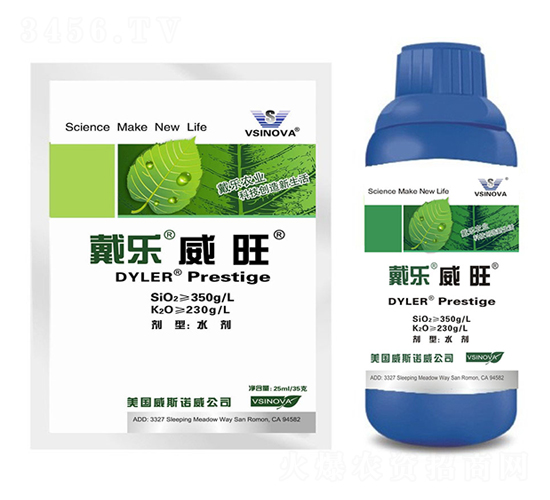 æˆ´æ¨‚å¨æ—º-å¨æ–¯è«¾å¨