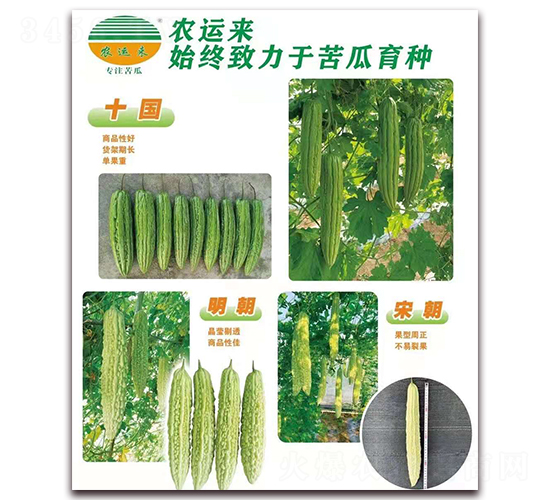 十國(guó)+明朝+宋朝-苦瓜種子-農(nóng)運(yùn)來(lái)