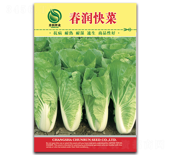 春潤(rùn)快菜-白菜種子-春潤(rùn)種業(yè)