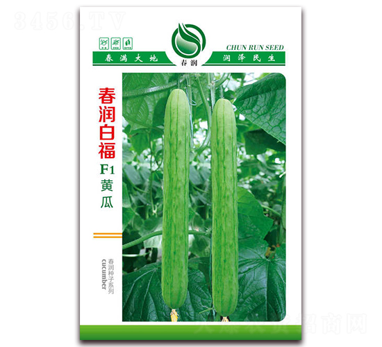 春潤(rùn)白福F1-黃瓜種子-春潤(rùn)種業(yè)