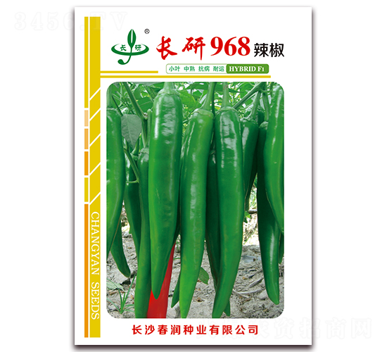 長研968-辣椒種子-春潤種業(yè)