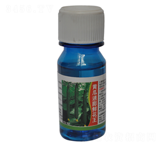 é»ƒç“œé€Ÿè†¨é®®èŠ±çŽ‹-è¾²(nÃ³ng)ä¼¯æ¨‚