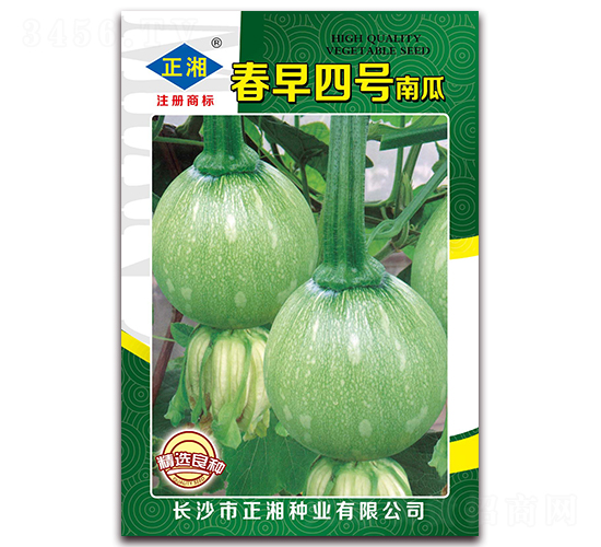 春早四號(hào)南瓜-南瓜種子-正湘種業(yè)