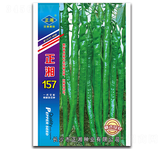 正湘157-線(xiàn)椒種子-正湘種業(yè)