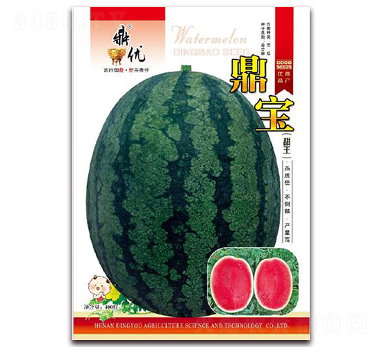 鼎寶-西瓜種子-鼎優(yōu)農業(yè)