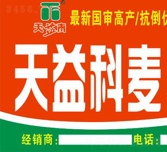 å¤©ç›Šç§‘éº¥5è™Ÿ(hÃ o)-å°éº¥ç¨®å­-è¯æˆ