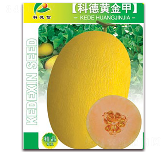科德黃金甲-甜瓜種子-科德信