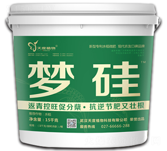 夢硅-天度植物