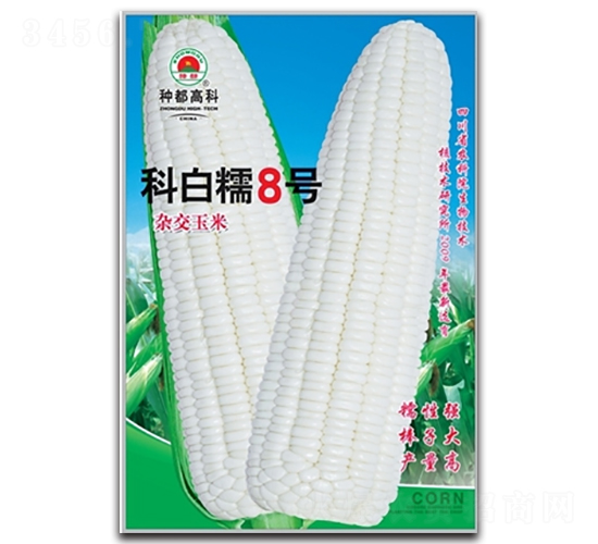 科白糯8號(hào)-玉米種子-高科種業(yè)