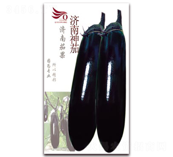 濟(jì)南神茄-茄子種子-茄果種業(yè)