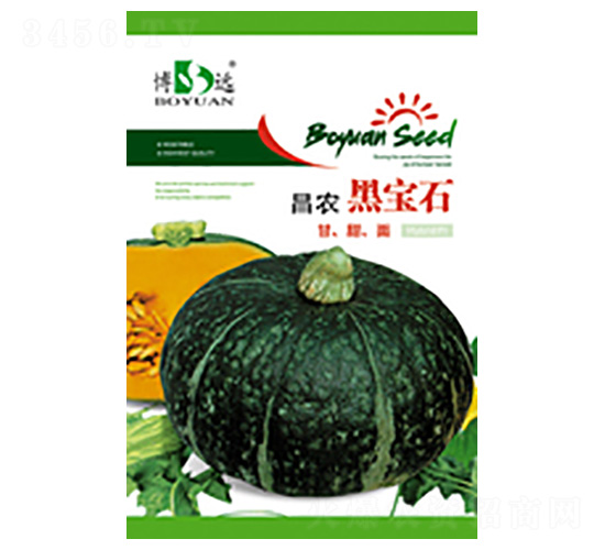 黑寶石-昌農(nóng)種業(yè)