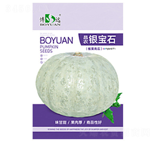 銀寶石-昌農(nóng)種業(yè)