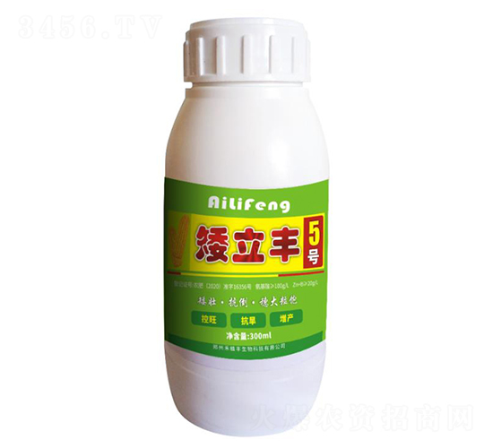 矮立豐5號-禾植豐