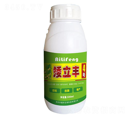 矮立豐4號-禾植豐