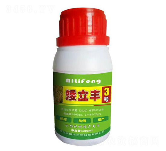 矮立豐3號-禾植豐