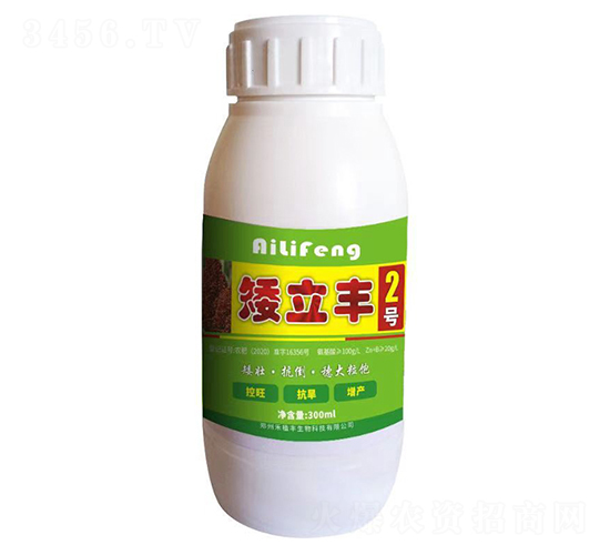 矮立豐2號-禾植豐