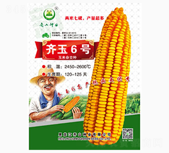 齊玉6號-齊山種業(yè)