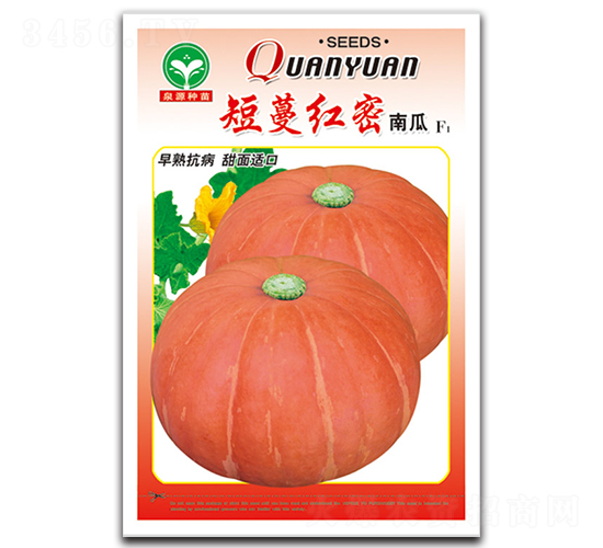短蔓紅蜜-南瓜種子-泉源