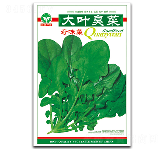 å¤§è‘‰è‡­èœ-å¥‡å‘³èœç¨®å­-æ³‰æº