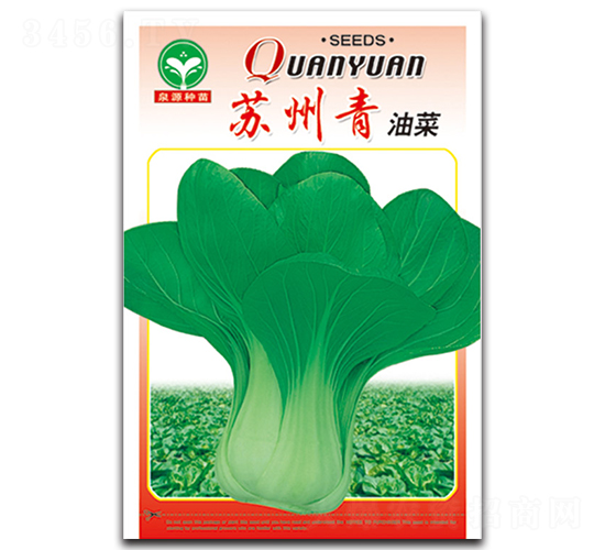 è˜‡å·žé’-æ²¹èœç¨®å­-æ³‰æº