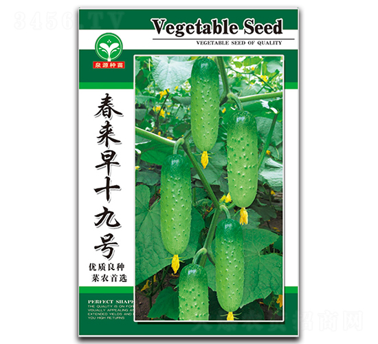 春來早十九號(hào)-黃瓜種子-泉源
