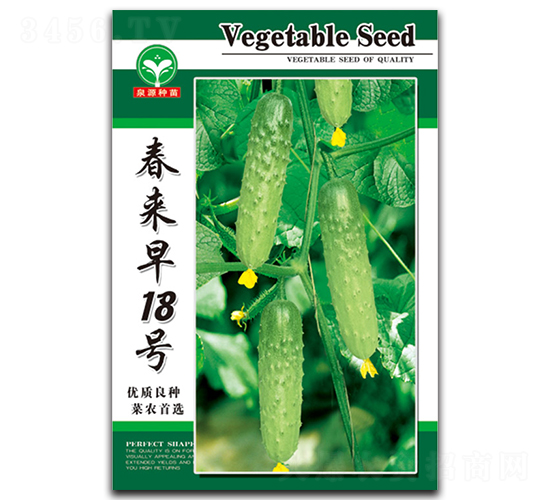 春來(lái)早18號(hào)-黃瓜種子-泉源