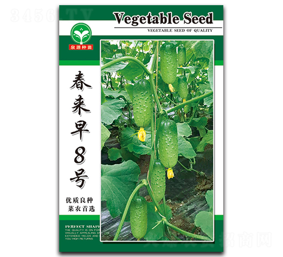 æ˜¥ä¾†(lÃ¡i)æ—©8è™Ÿ(hÃ o)-é»ƒç“œç¨®å­-æ³‰æº