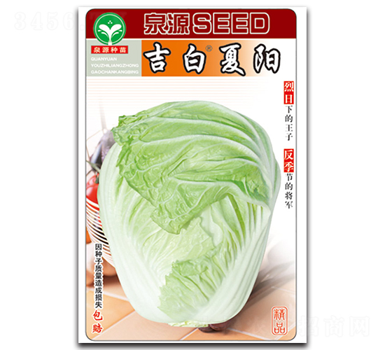 å‰ç™½å¤é™½-ç™½èœç¨®å­-æ³‰æº