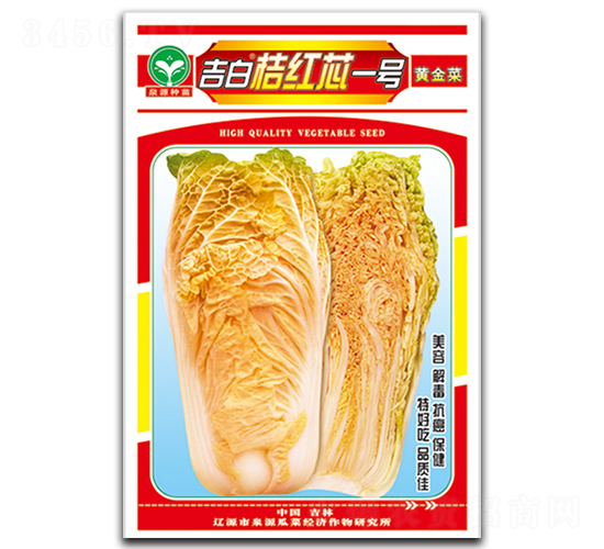 桔紅芯一號(hào)-白菜種子-泉源