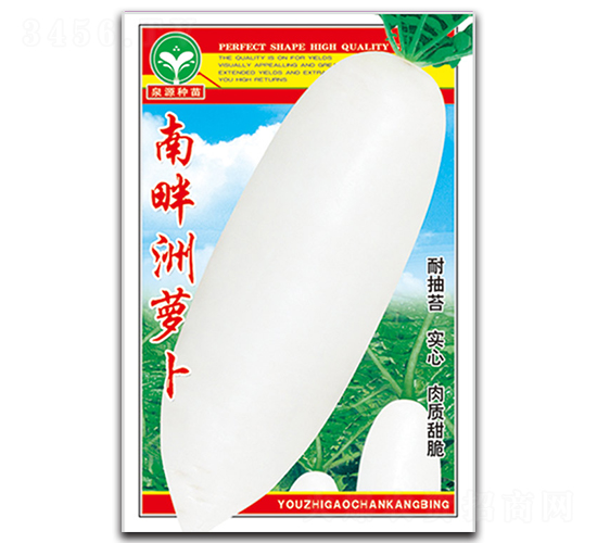 南畔洲蘿卜-蘿卜種子-泉源