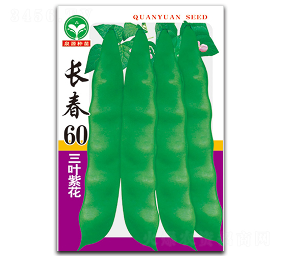 長(zhǎng)春60-豆角種子-泉源